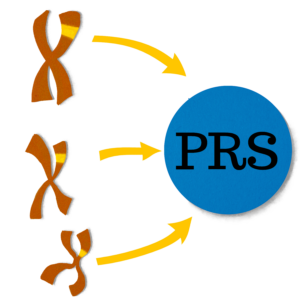 Illustration of genes pointing to PRS circle