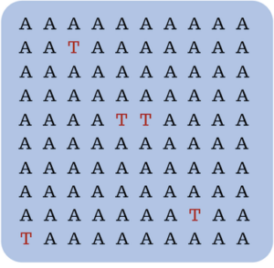 Illustration of A's and T's
