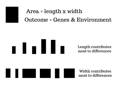 graph showing how area is similar to outcome